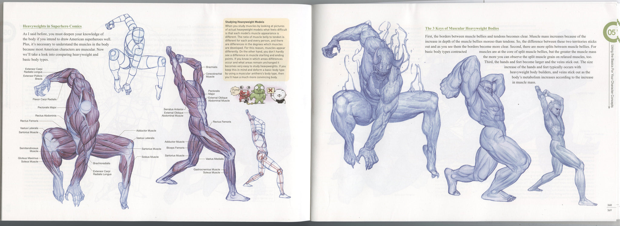 ANATOMY DRAWING CLASS By Rockhe Kim For Beginners (English Ver.)