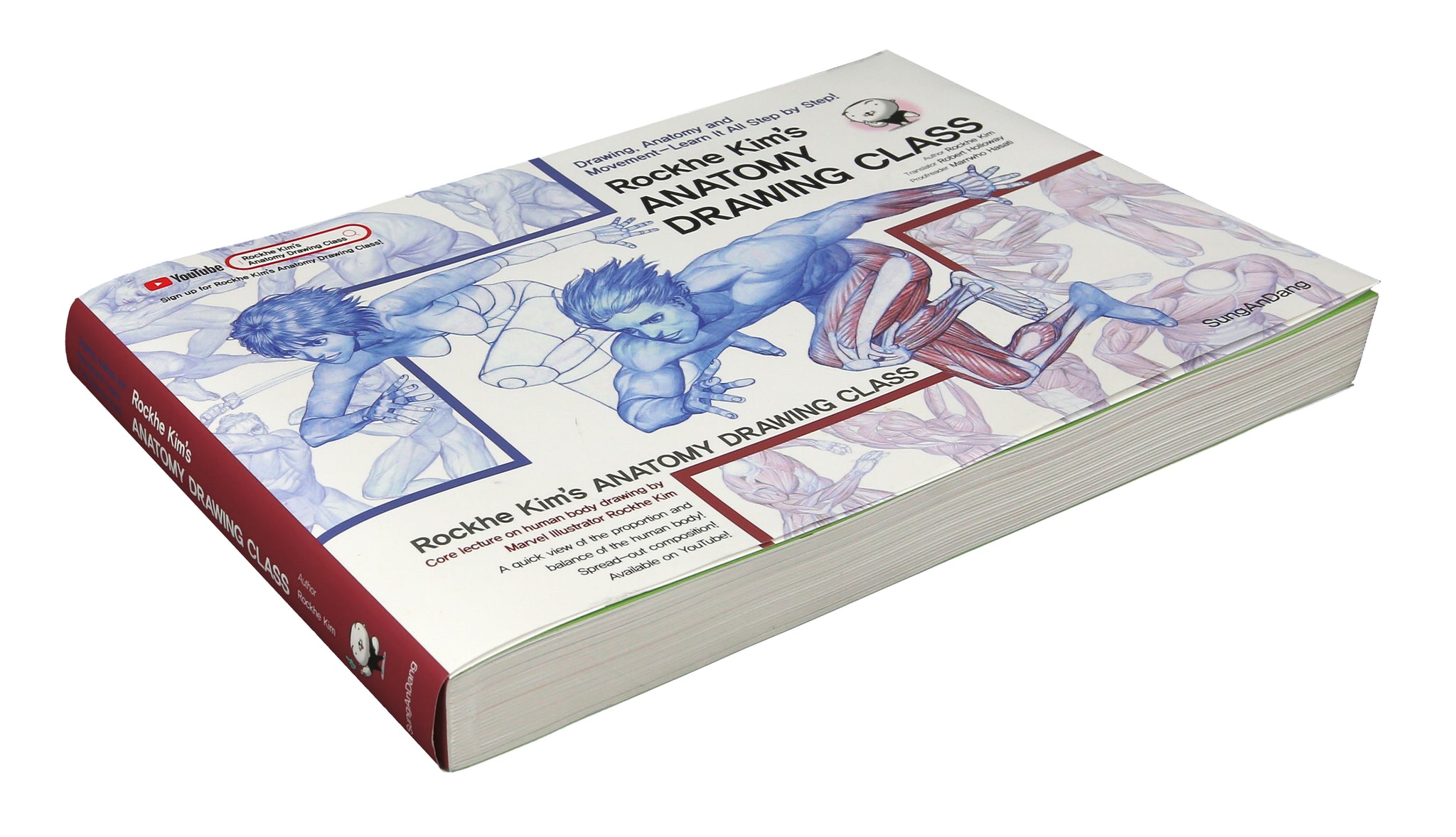 Best Human Anatomy Books for ARTISTS – BrushWarriors