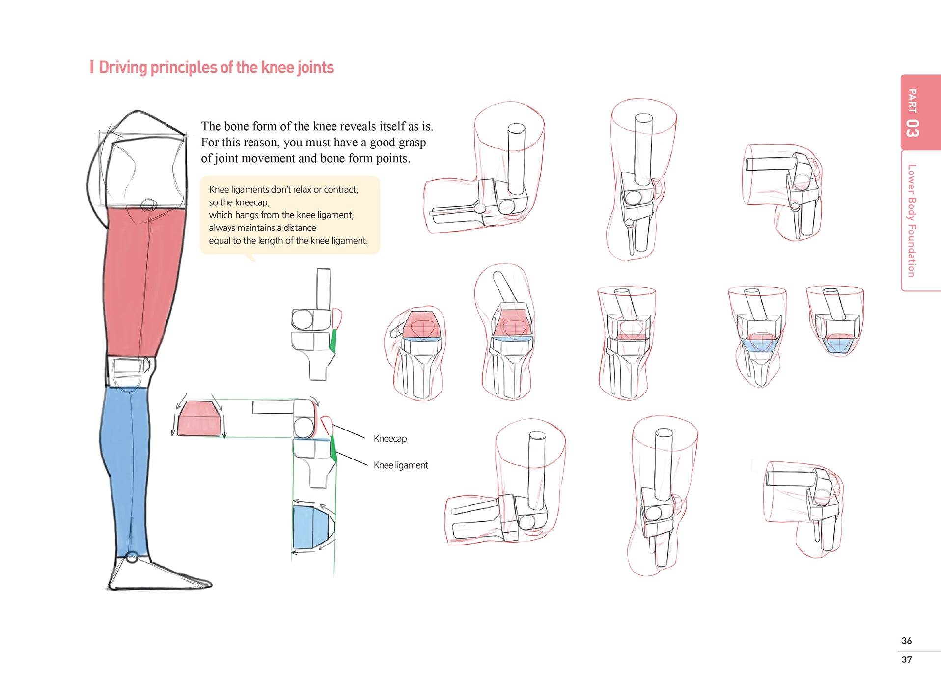 Line Drawing Technique By Rockhe Kim (English Ver.) Set